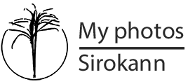 Sirokann Photos